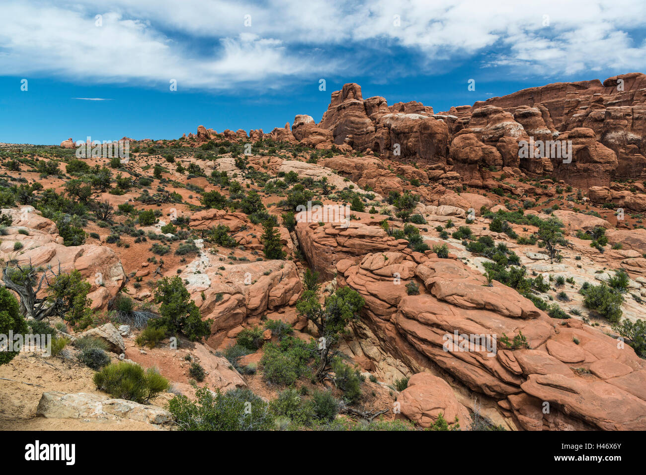 Giardino di Eden, Arches National Park, Utah, Stati Uniti d'America Foto Stock