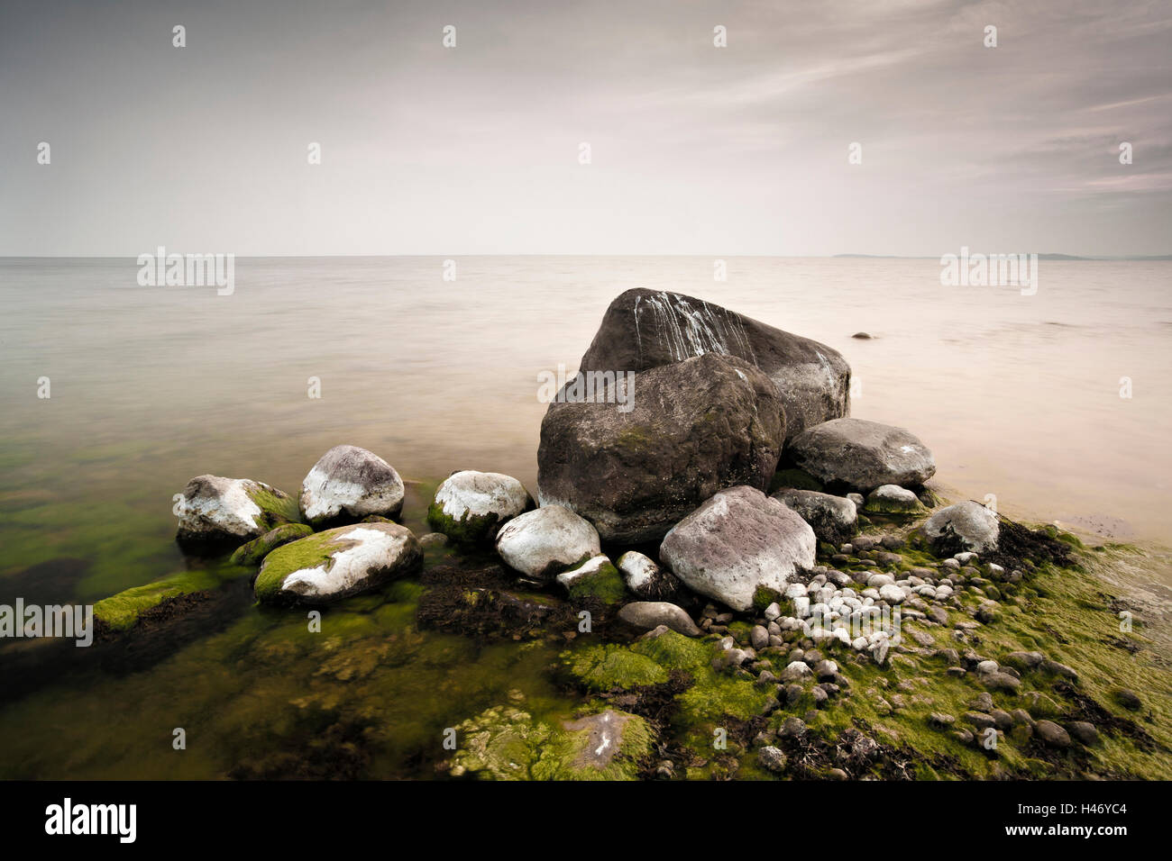 Massi erratici sulle rive della Baia di Greifswald, Rügen Isola, Germania Foto Stock