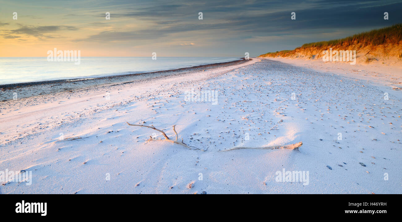 Spiaggia sabbiosa nella luce della sera, Darß, Mar Baltico, Germania Foto Stock