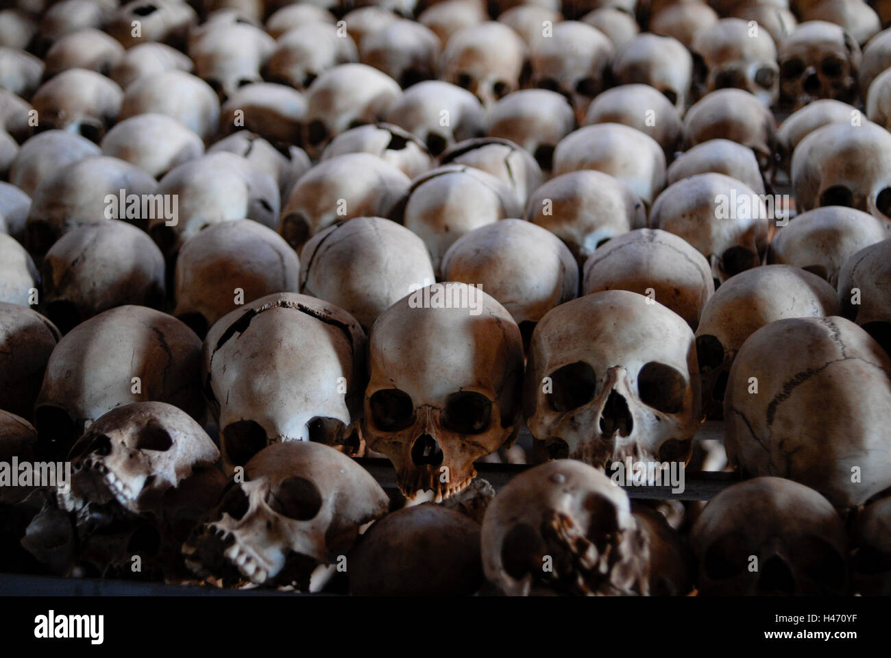 Genocidio in Ruanda memorial Ntarama , durante il genocidio in Aprile 1994 circa 5000 Tutsi furono uccisi dagli hutu di omicidio in questa chiesa, teschi e le ossa di persone assassinate nella tomba di massa Foto Stock