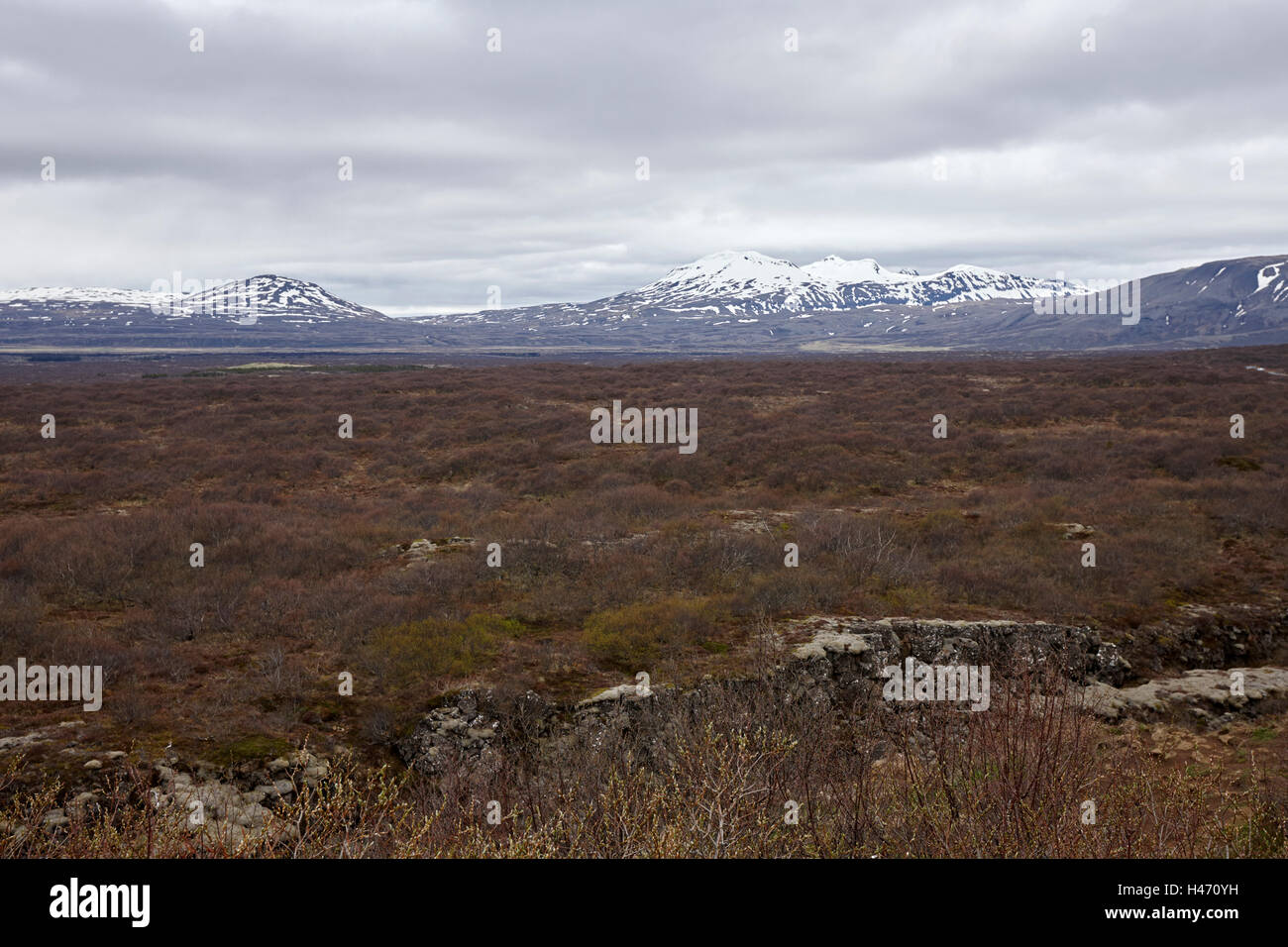 Fessure nelle placche continentali a Thingvellir parco nazionale di Islanda Foto Stock