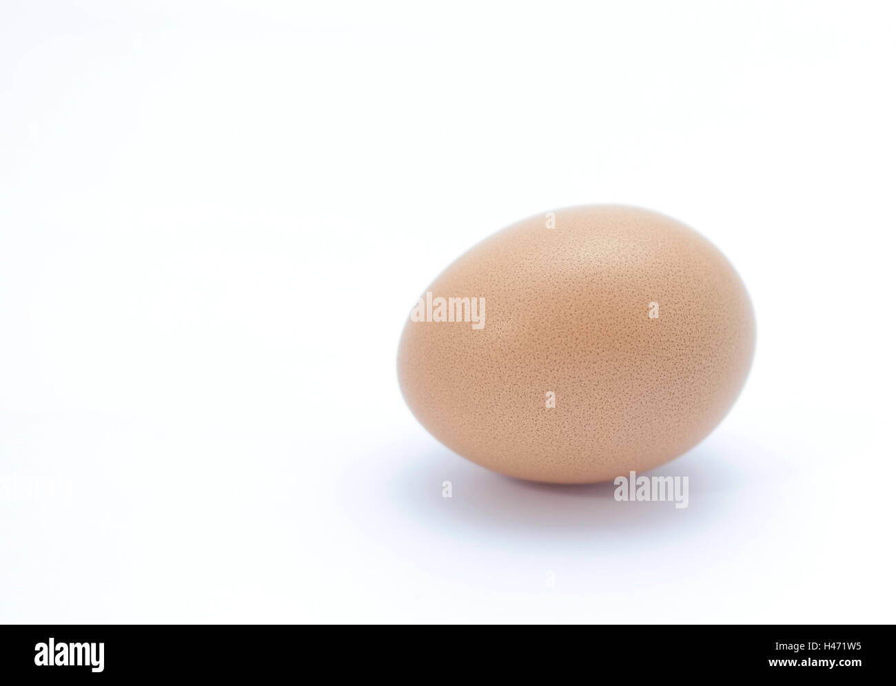 Un uovo di gallina con sfondo bianco. Foto Stock