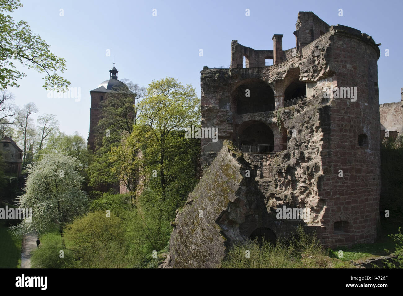 Heidelberg, castello, Fossato, torre rovina, Baden-Württemberg, Germania, Foto Stock