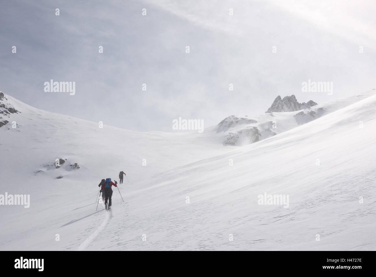 Austria Vorarlberg, Walsertal, Muttwangjoch, ski tourer, Foto Stock