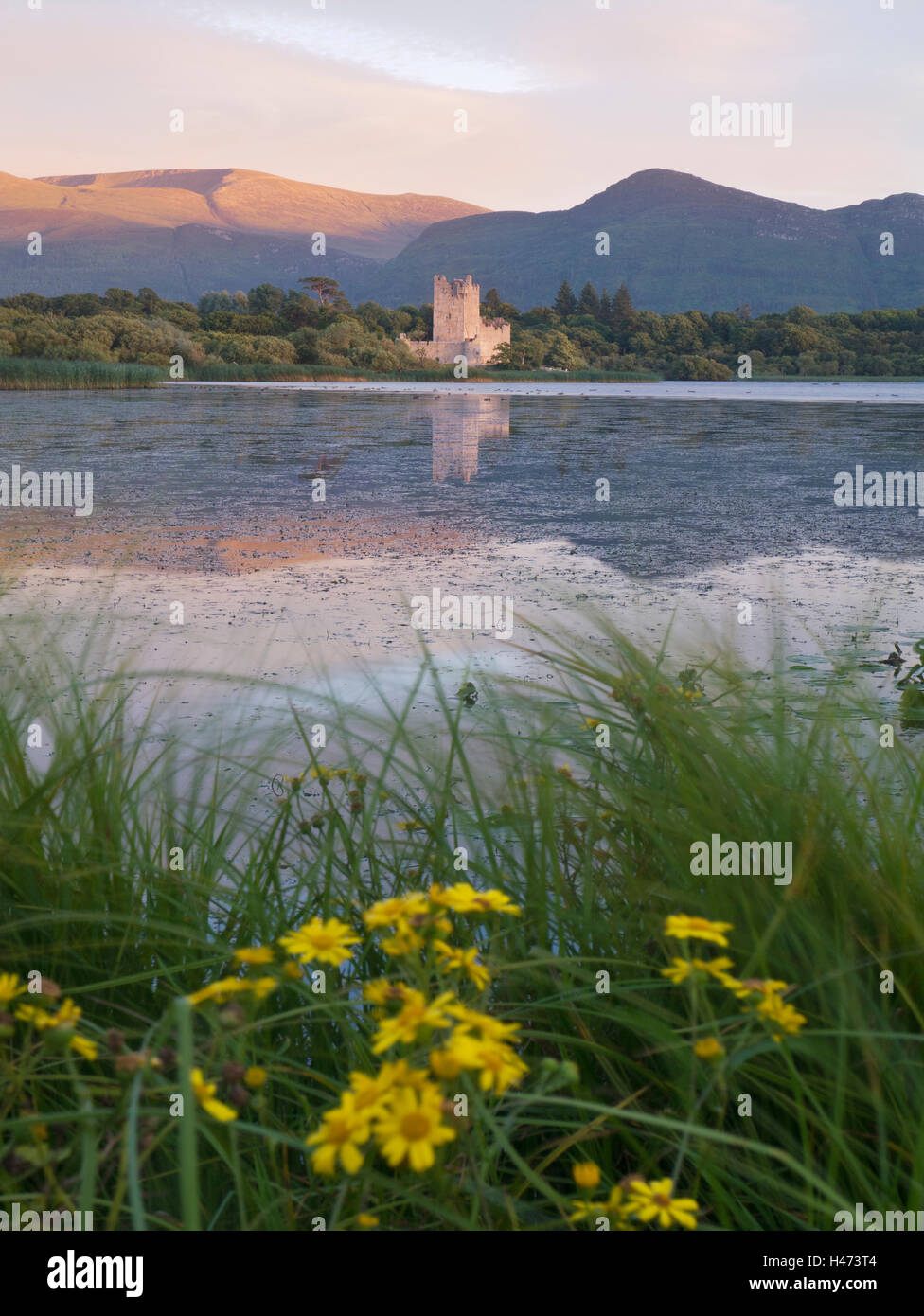 Castello di Ross, parco nazionale di Killarney Foto Stock
