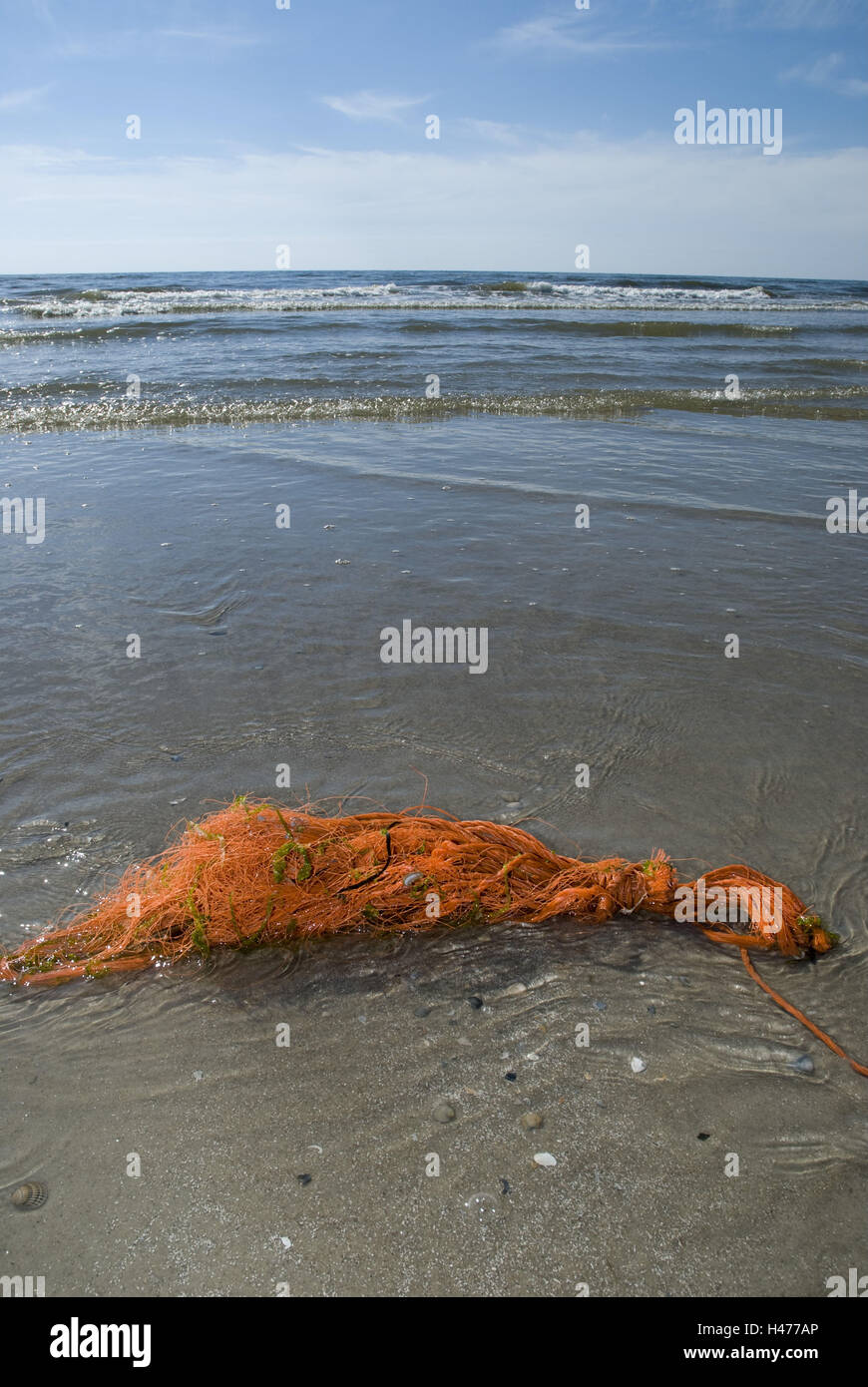In Pieno Del Pesce Di Mare Nella Rete Da Pesca Sulla Spiaggia Sabbiosa Immagine Stock - Immagine