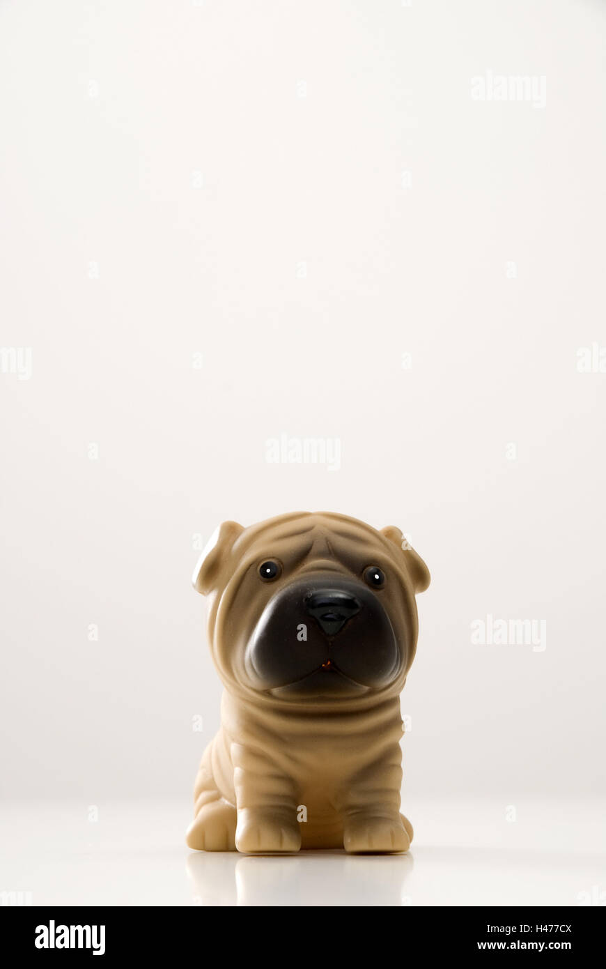 La figura animale, cane, Foto Stock