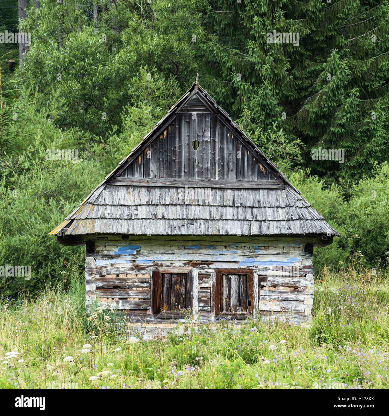 Vecchia casa abbandonata nel mezzo della foresta Foto Stock