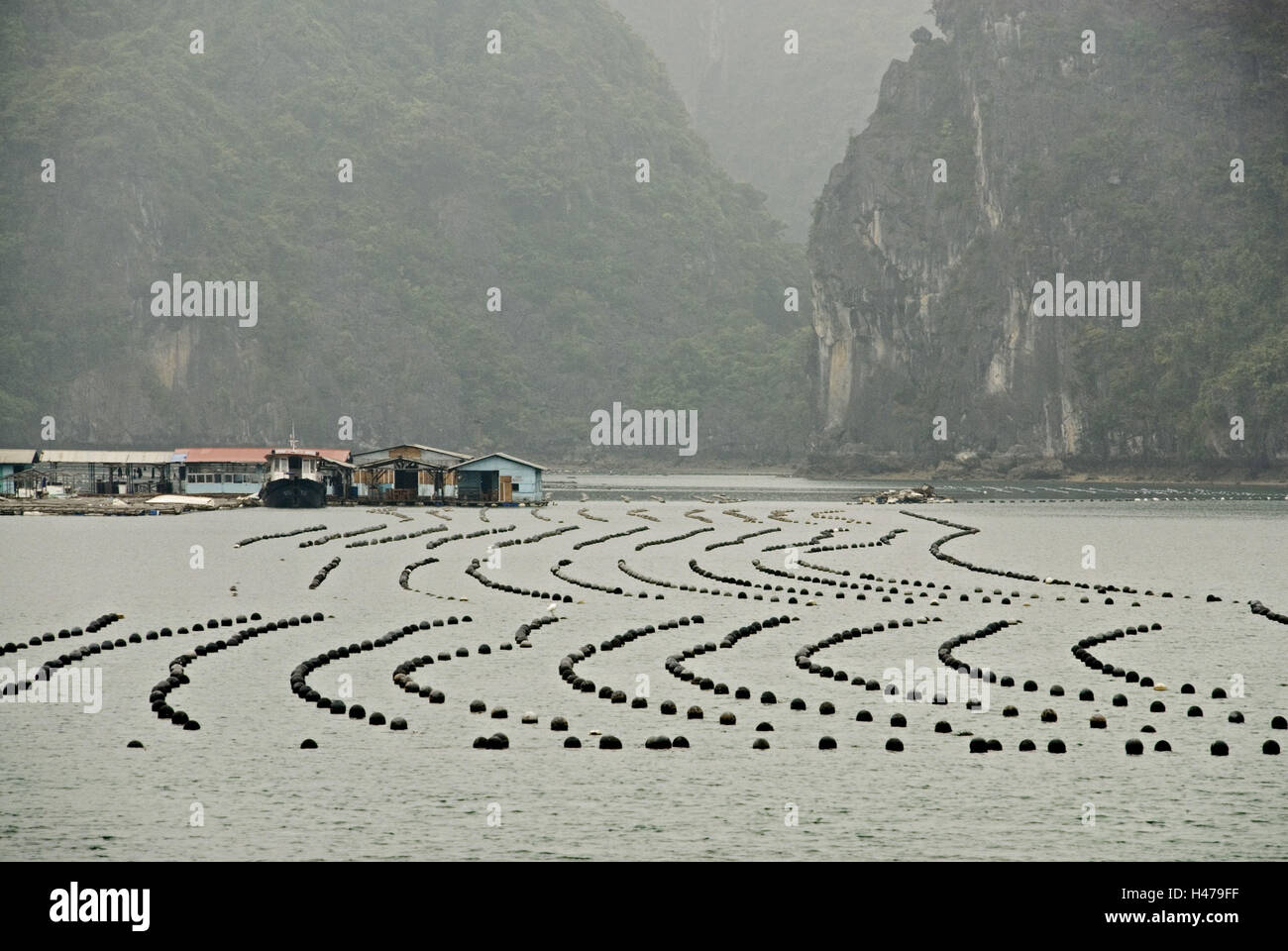 Il Vietnam, Halong Bay, isola di mondo, roccia calcarea, perla coltivazione, Foto Stock