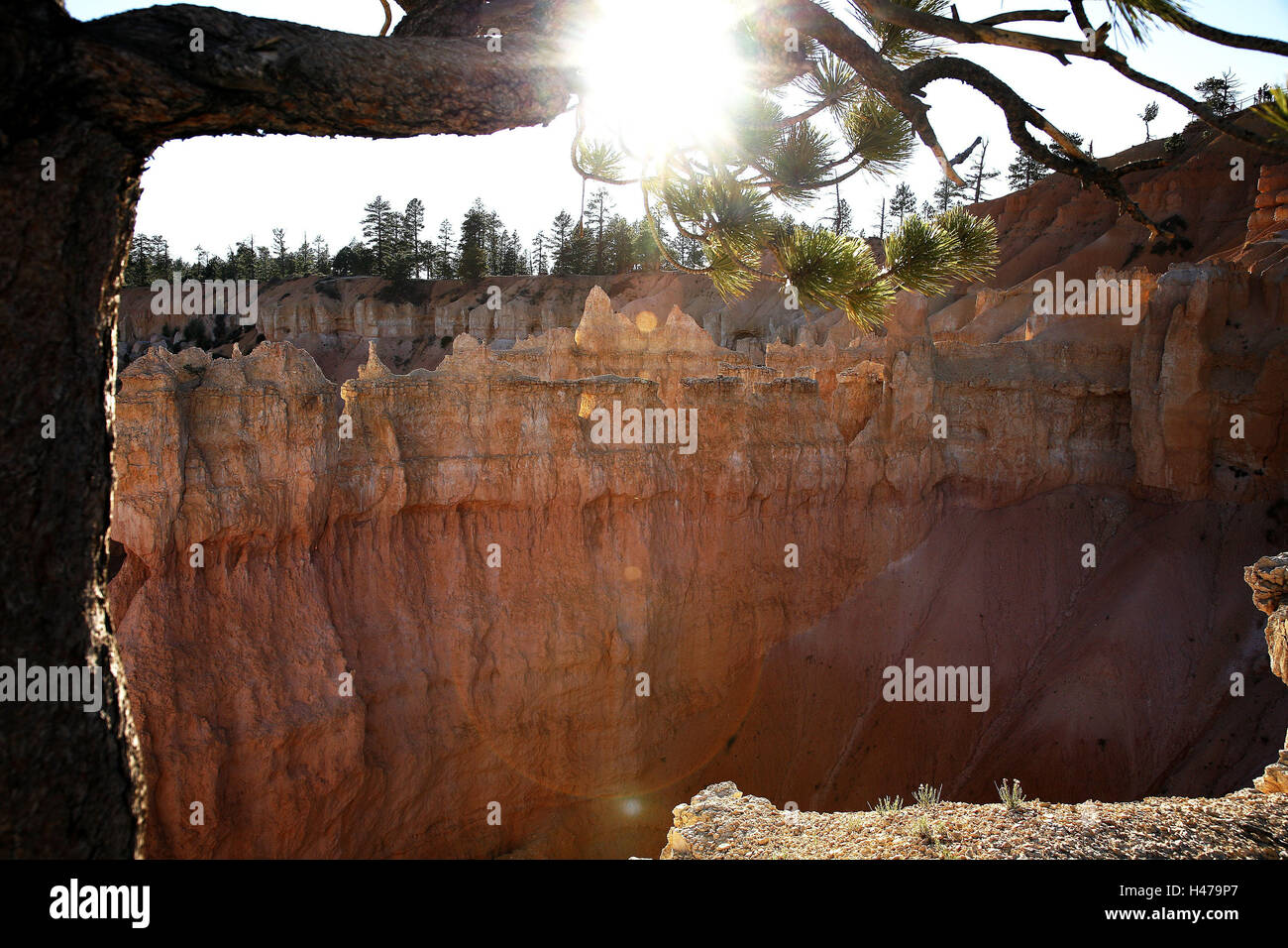 Gli Stati Uniti, Utah, Bryce Canyon National Park, scenario, scenario panorama, bile, formazione di bile, Erode, Hoodoos, geologia, destinazione, geografia, estremamente, paesaggi estremi, turismo e spettacolo della natura, viaggi, natura, forme di erosione, parco nazionale di Bryce Canyon Foto Stock