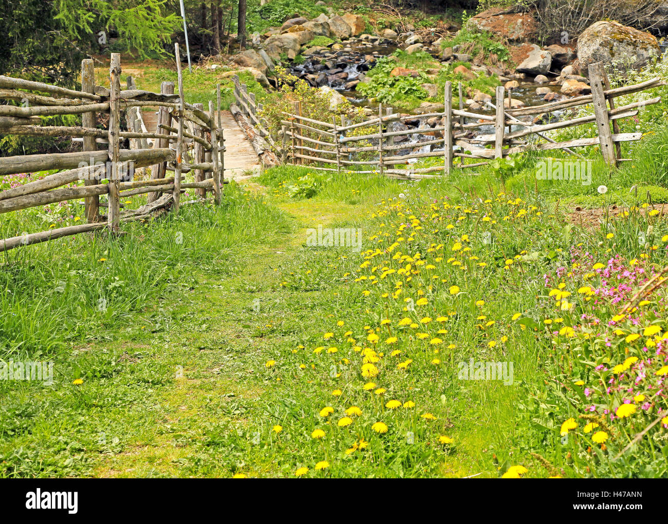 Lontano da prato di fiori tra i recinti di legno, Foto Stock