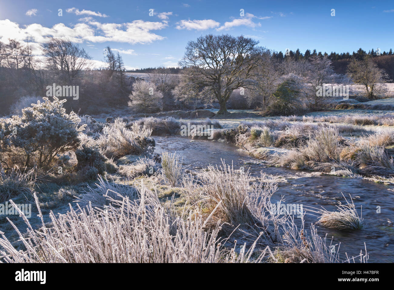 Trasformata per forte gradiente smerigliati paesaggio che circonda il fiume Dart, Parco Nazionale di Dartmoor, Devon, Inghilterra. Inverno (dicembre) 2014. Foto Stock