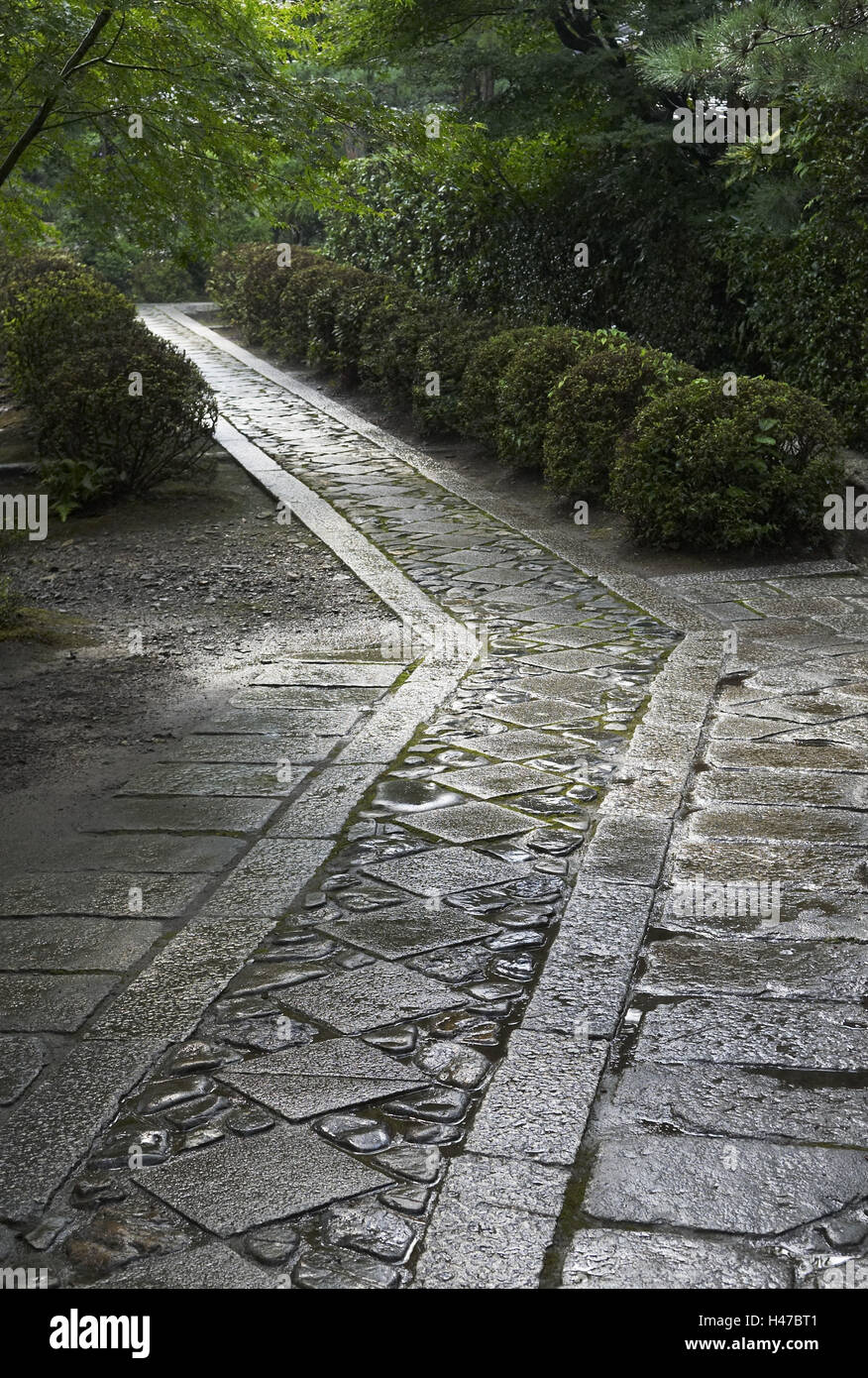 Lontano, pavimentazione di pietra, lunetta, boccole, alberi, grigio, verde, Giappone, Kyoto, Foto Stock