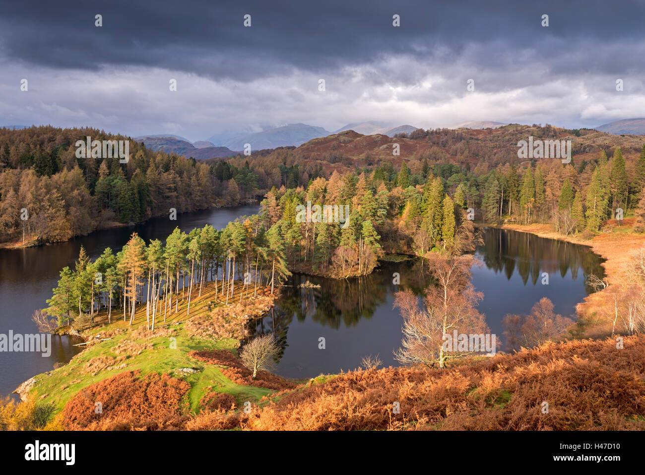 Il pittoresco Tarn Hows nel distretto del lago, Cumbria, Inghilterra. In autunno (Novembre) 2014. Foto Stock