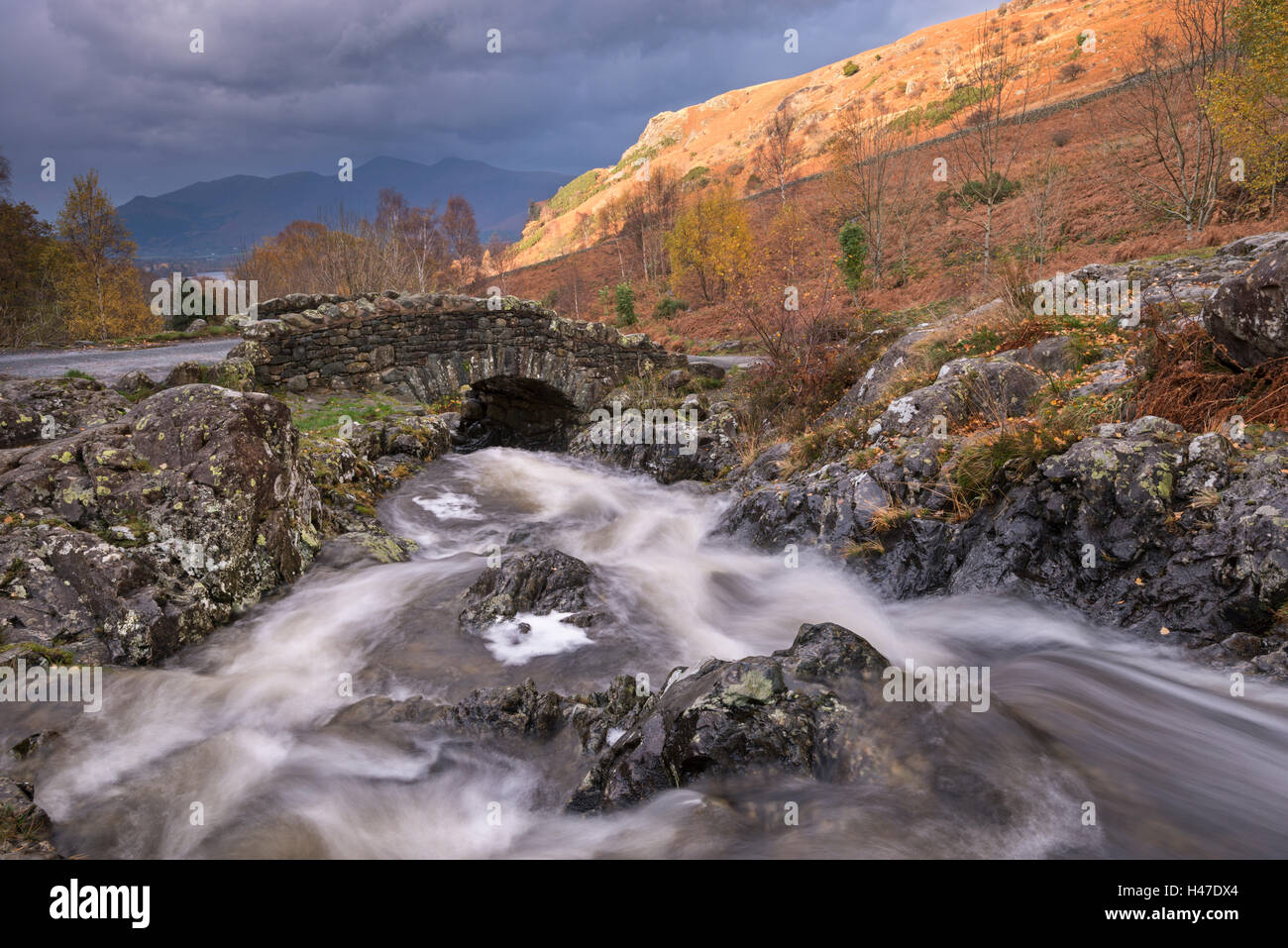 Flusso rocciose tumbling sotto il ponte Ashness nel Parco Nazionale del Distretto dei Laghi, Cumbria, Inghilterra. In autunno (Novembre) 2014. Foto Stock