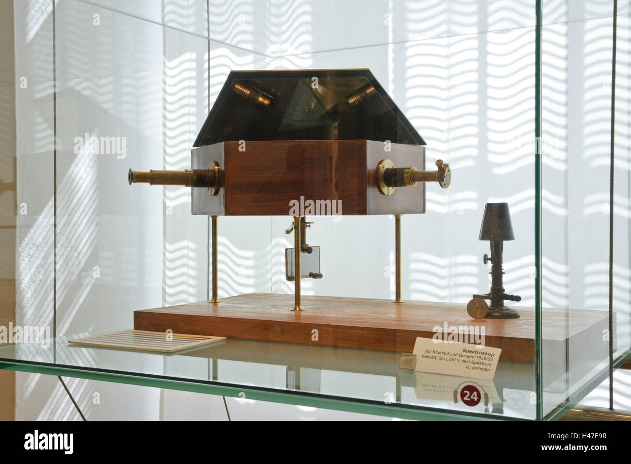 Heidelberg, University Museum, Università, Baden-Württemberg, Germania, Foto Stock