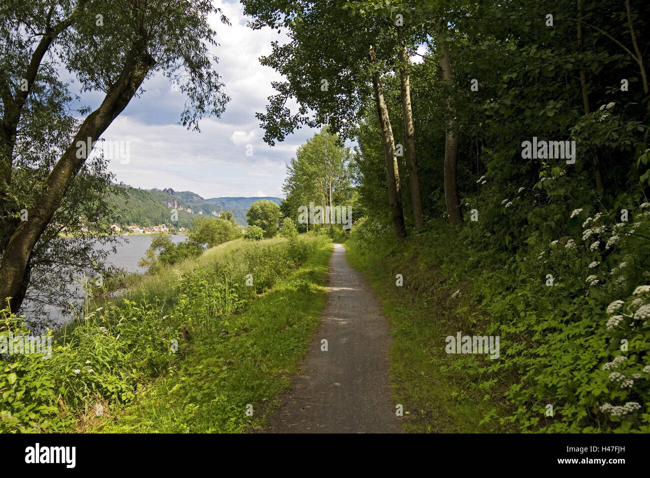 Caspar-David-Friedrich-Weg con culle, Foto Stock