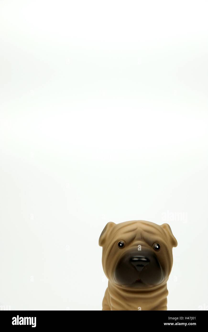 La figura animale, cane, Foto Stock