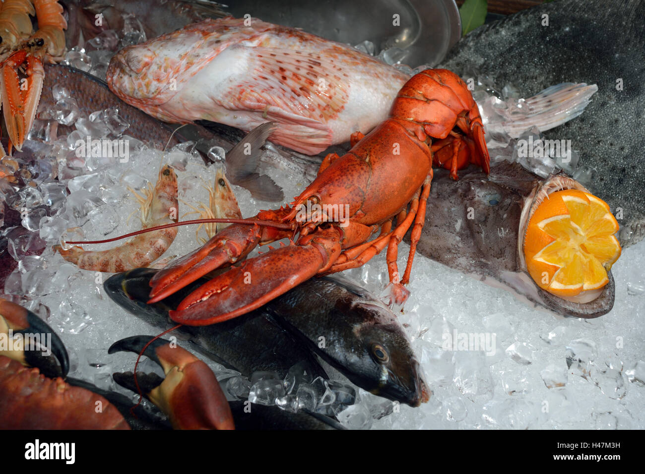 Frutti di mare del Mare Adriatico su un mercato del pesce sul ponte di Rialto di Venezia in Italia. Foto Stock
