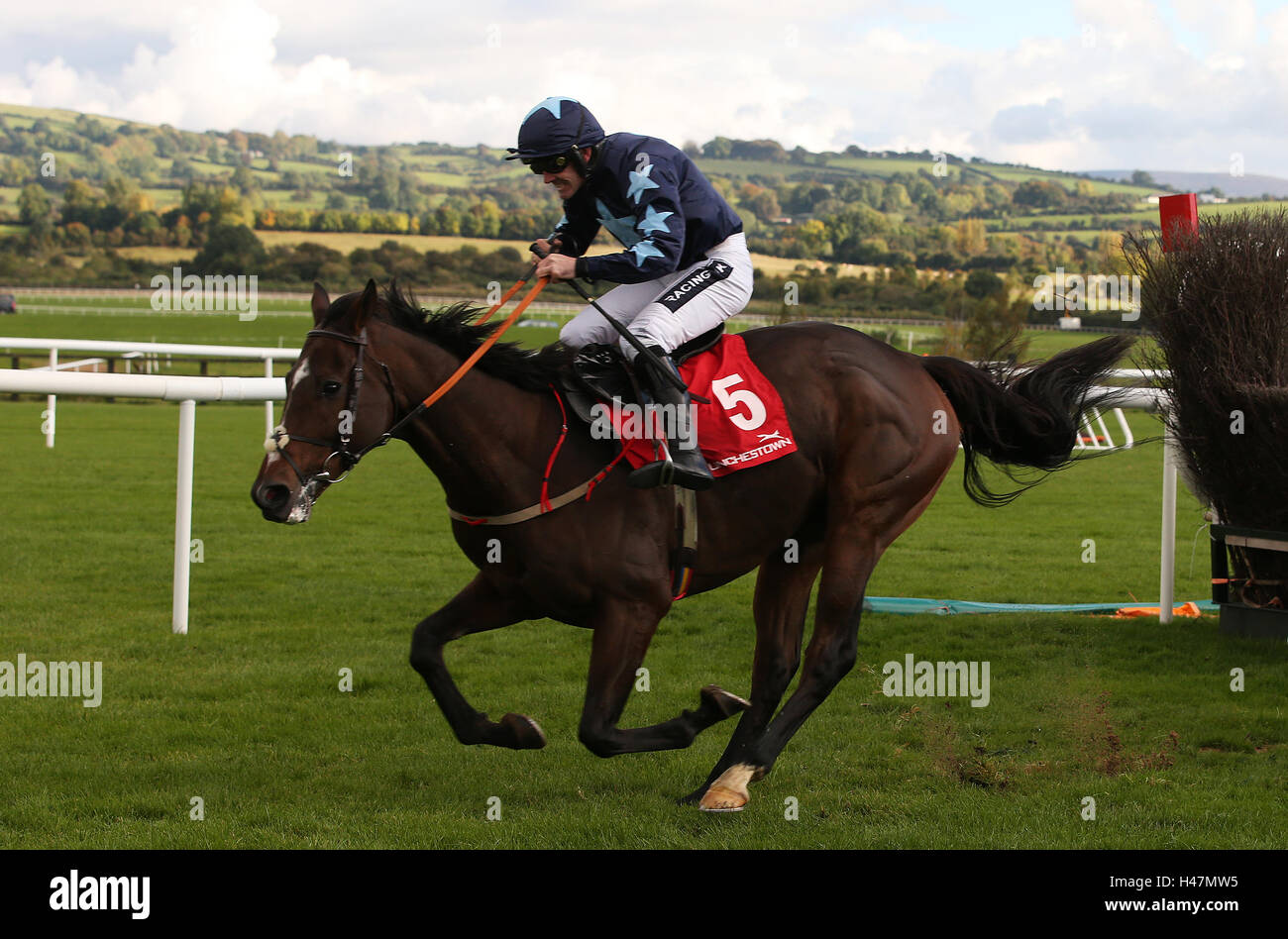 Tre stelle cavalcato da Ruby gare Walsh chiaro dell'ultimo sul modo di vincere la casa di Buck novizio siepi a Punchestown Racecourse, nella contea di Kildare, Irlanda. Foto Stock