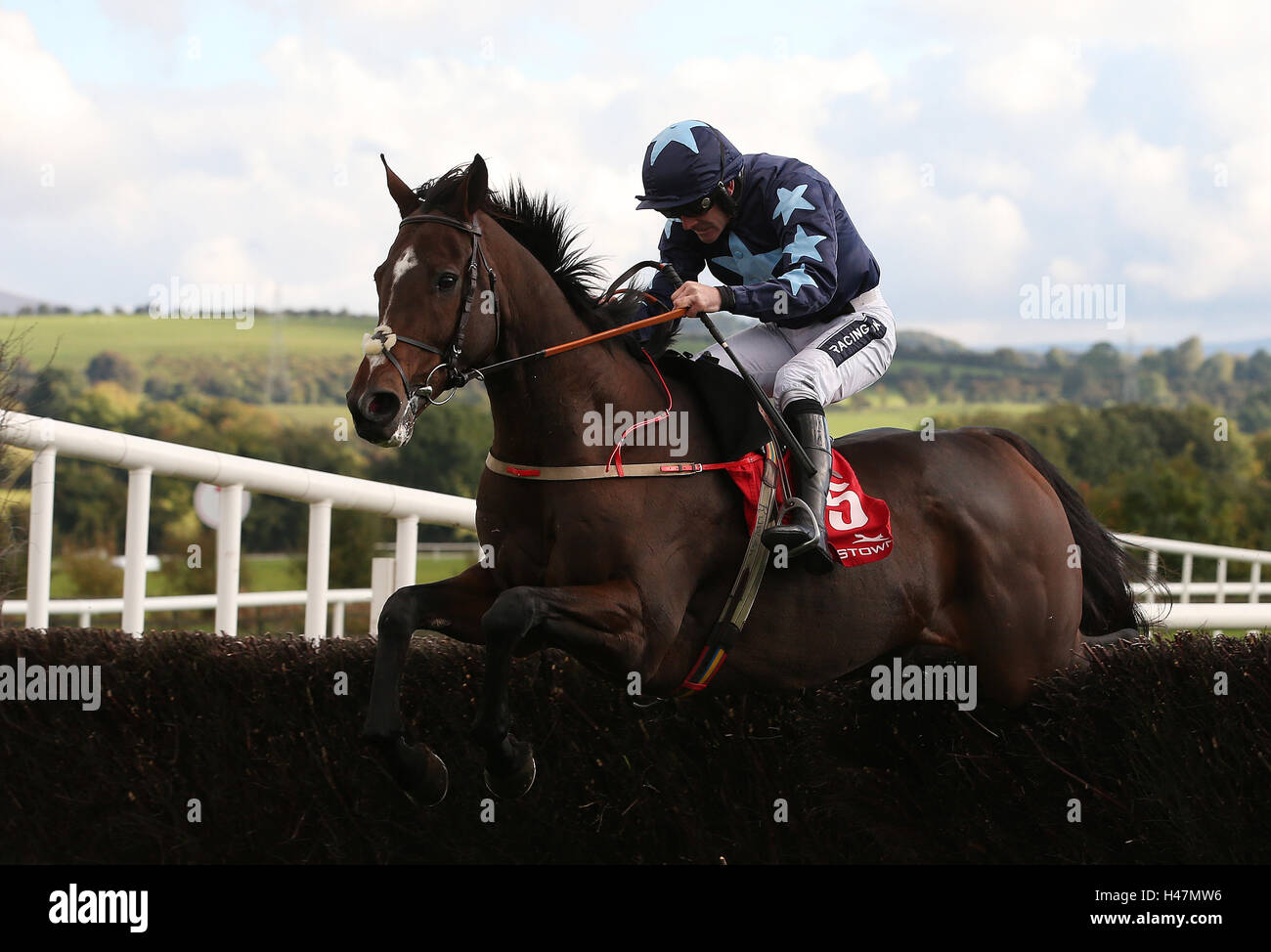Tre stelle cavalcato da Ruby Walsh cancella l'ultima sul modo di vincere la casa di Buck novizio siepi a Punchestown Racecourse, nella contea di Kildare, Irlanda. Foto Stock