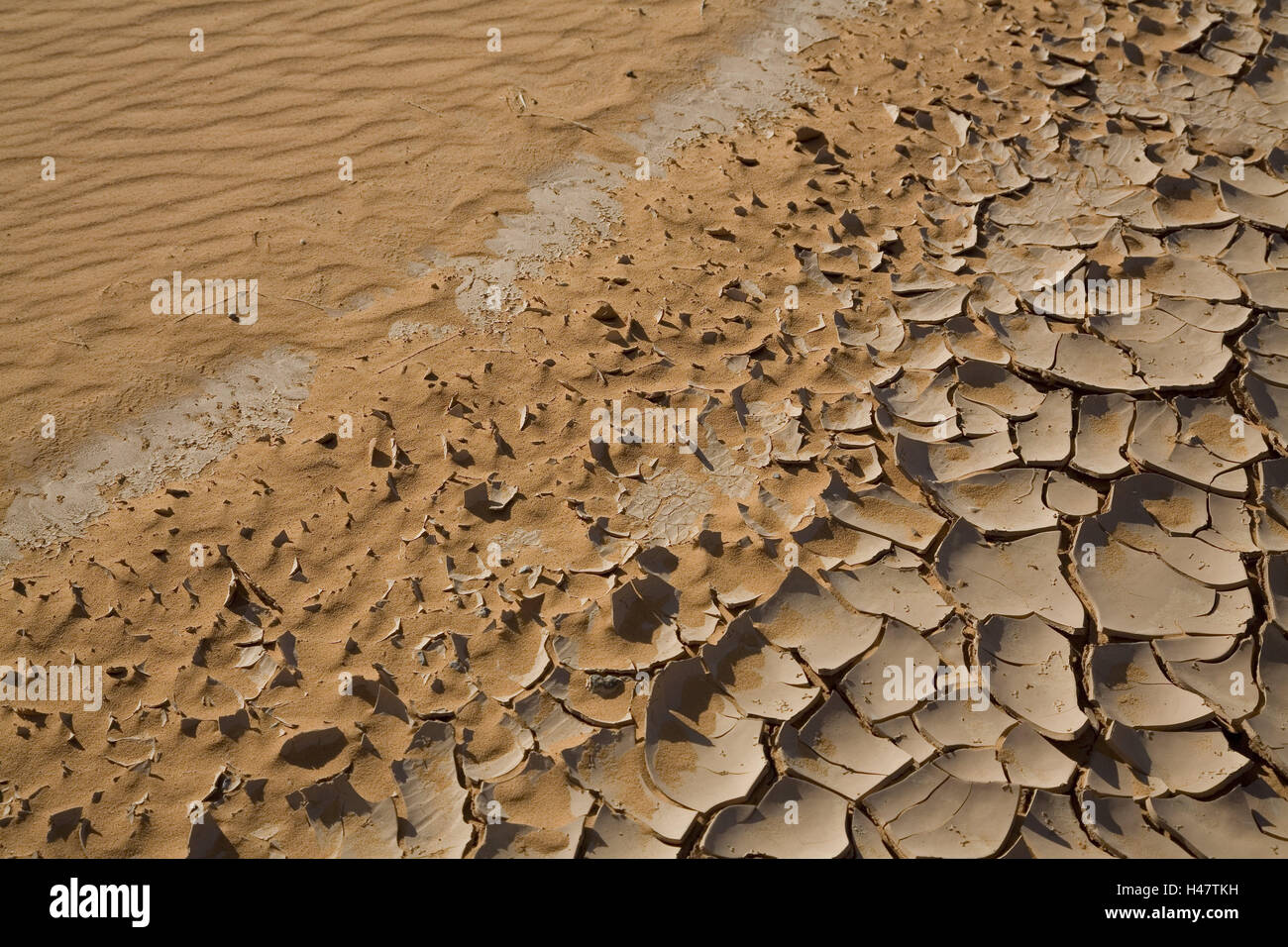 Algeria, wadi Saoura, terreno sabbioso, mucky pavimento asciutto, fessure, Africa, deserto deserto di sabbia, sabbia, argilla, crosta di fango, secchezza, secchezza, penuria d acqua, vita-hostilely, essiccate, deserte, calore Foto Stock