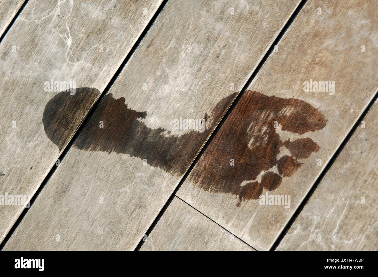 Pavimento in legno, footprint, bagnato, fasciame il pavimento di ... Pavimento in tavole di legno