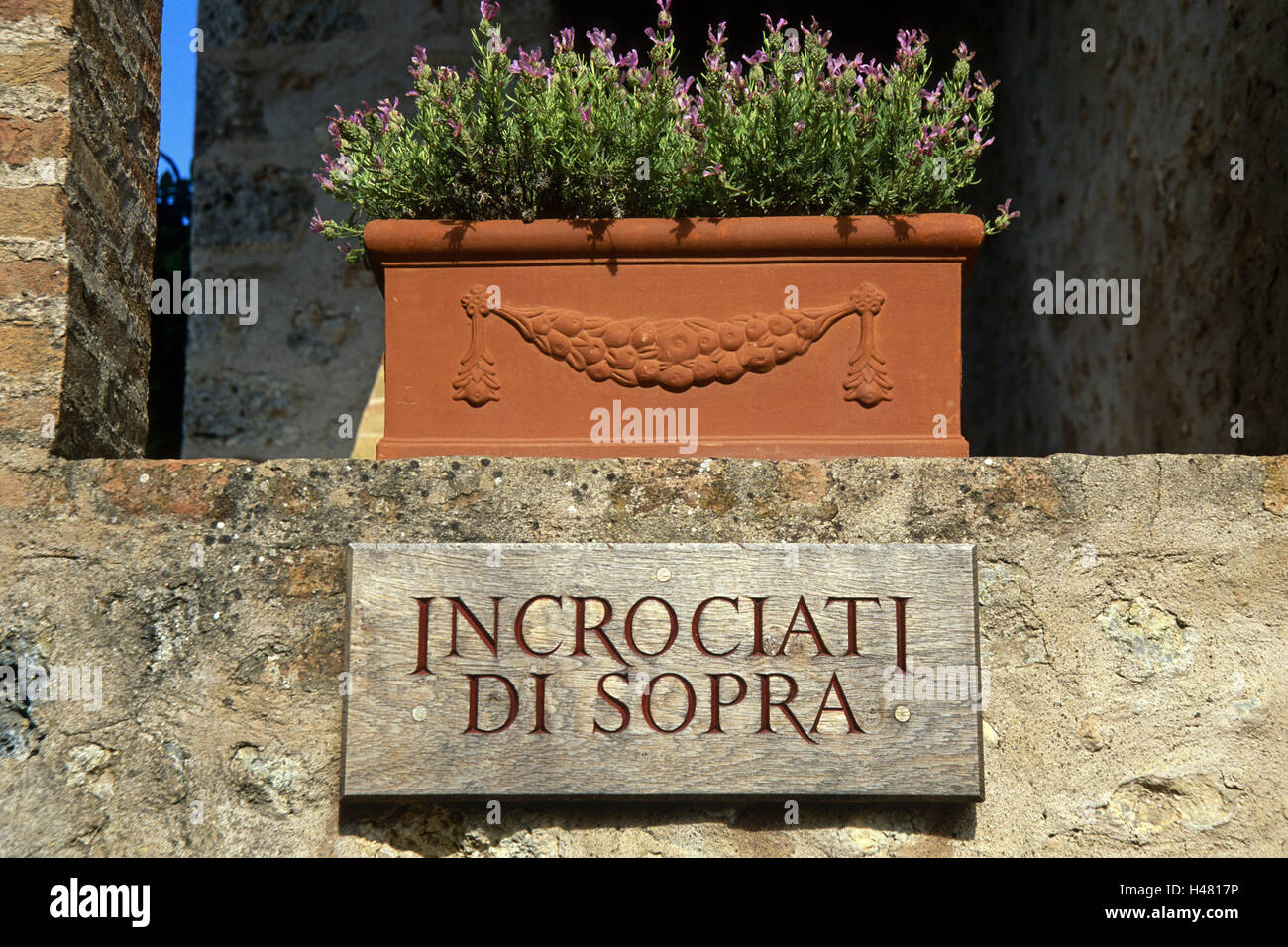 Finestra di tono box, lavanda, Blossom, il cartello in legno, terracotta, window box, terracotta window box, Italia, Toscana, tono, lavanda tipo, fiori, segno, segno, punta, casa vacanze, nessuno, Foto Stock
