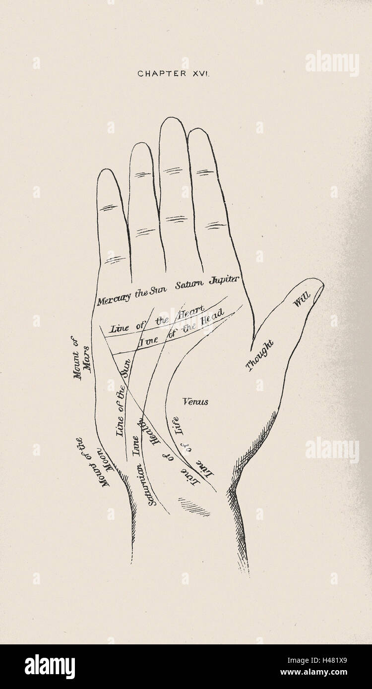 Illustrazione della mano Foto Stock