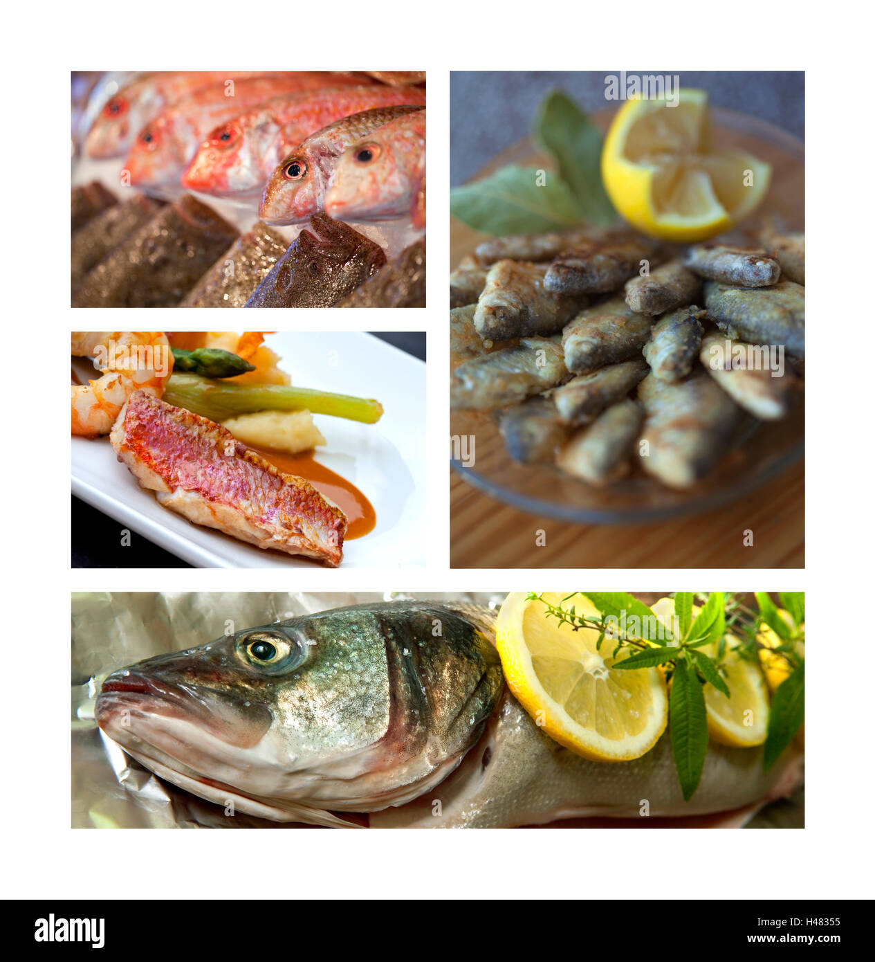Vari piatti di pesce e ricette su un collage Foto Stock