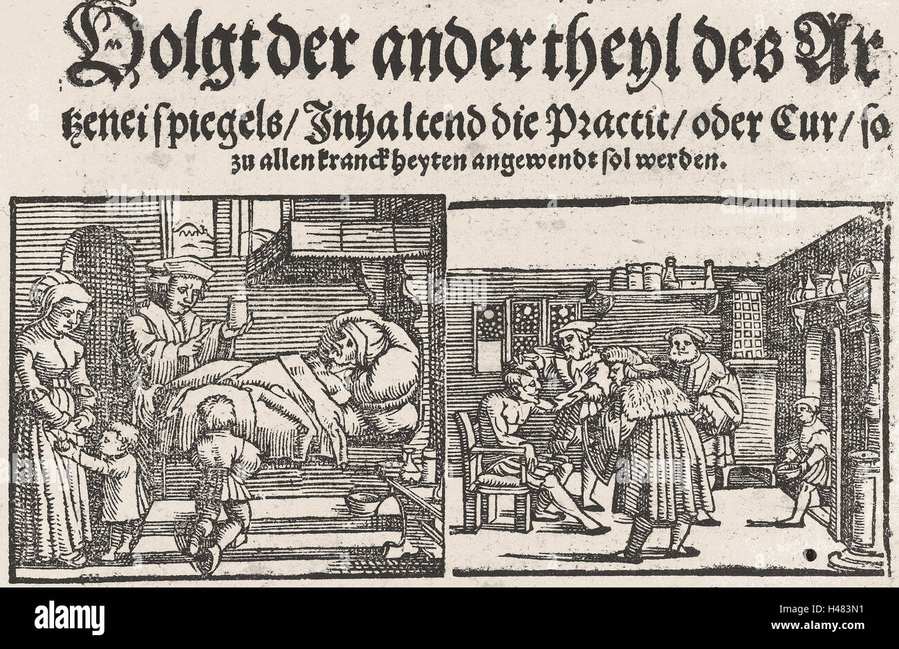 Xilografia illustrazione e testo dal libro su anatomia Foto Stock