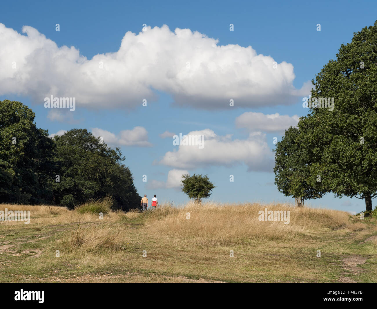Uomo di mezza età, donna godendo grande all'aperto, UK. Foto Stock