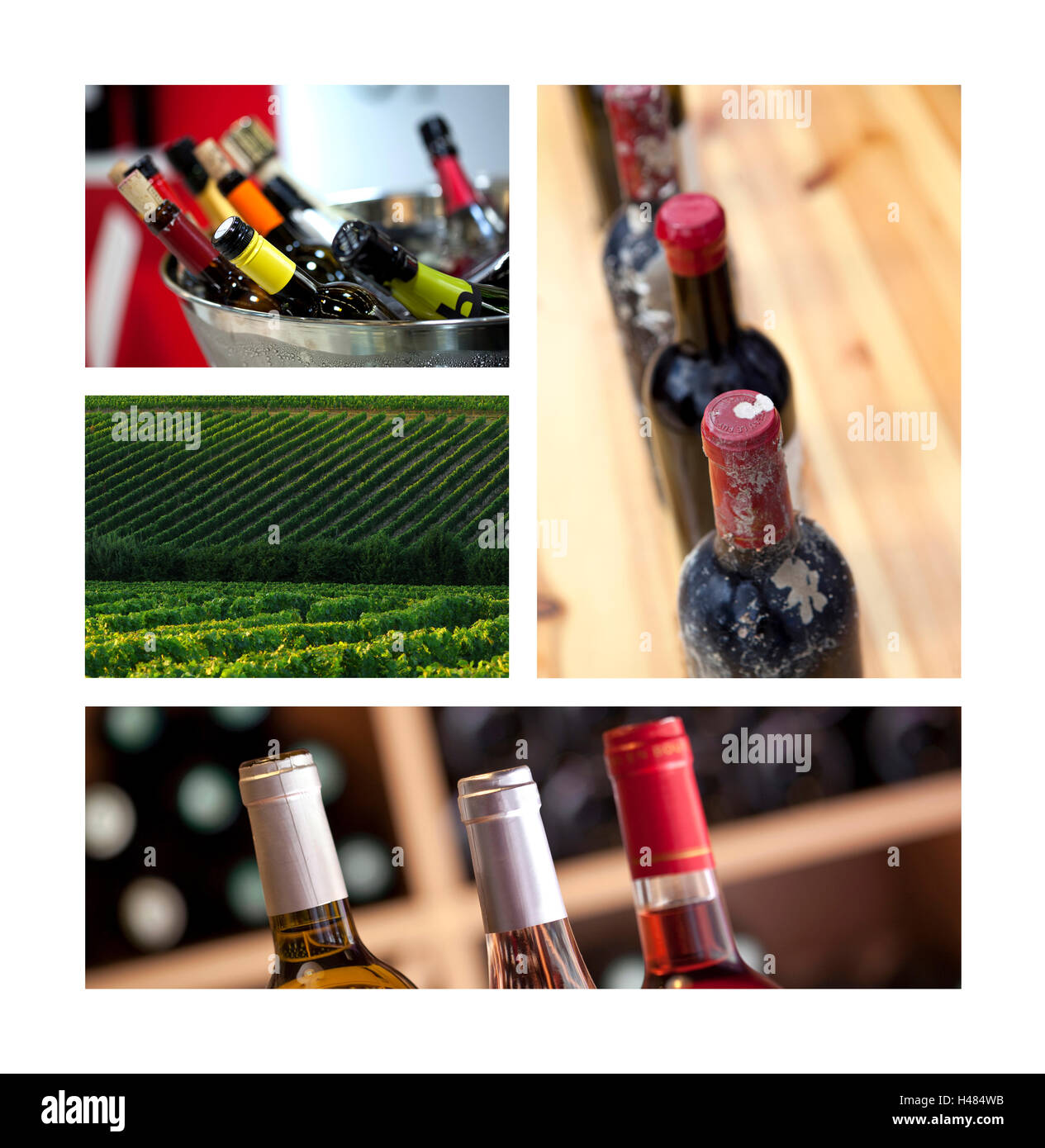 Bottiglie di vino e vigneti francesi su un collage Foto Stock