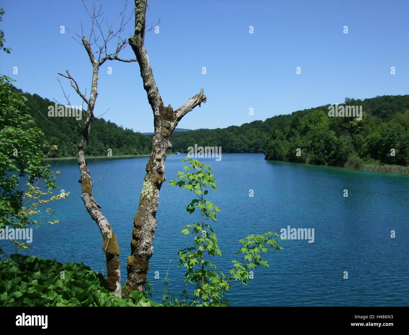 Lago di Plitvice Croazia Foto Stock