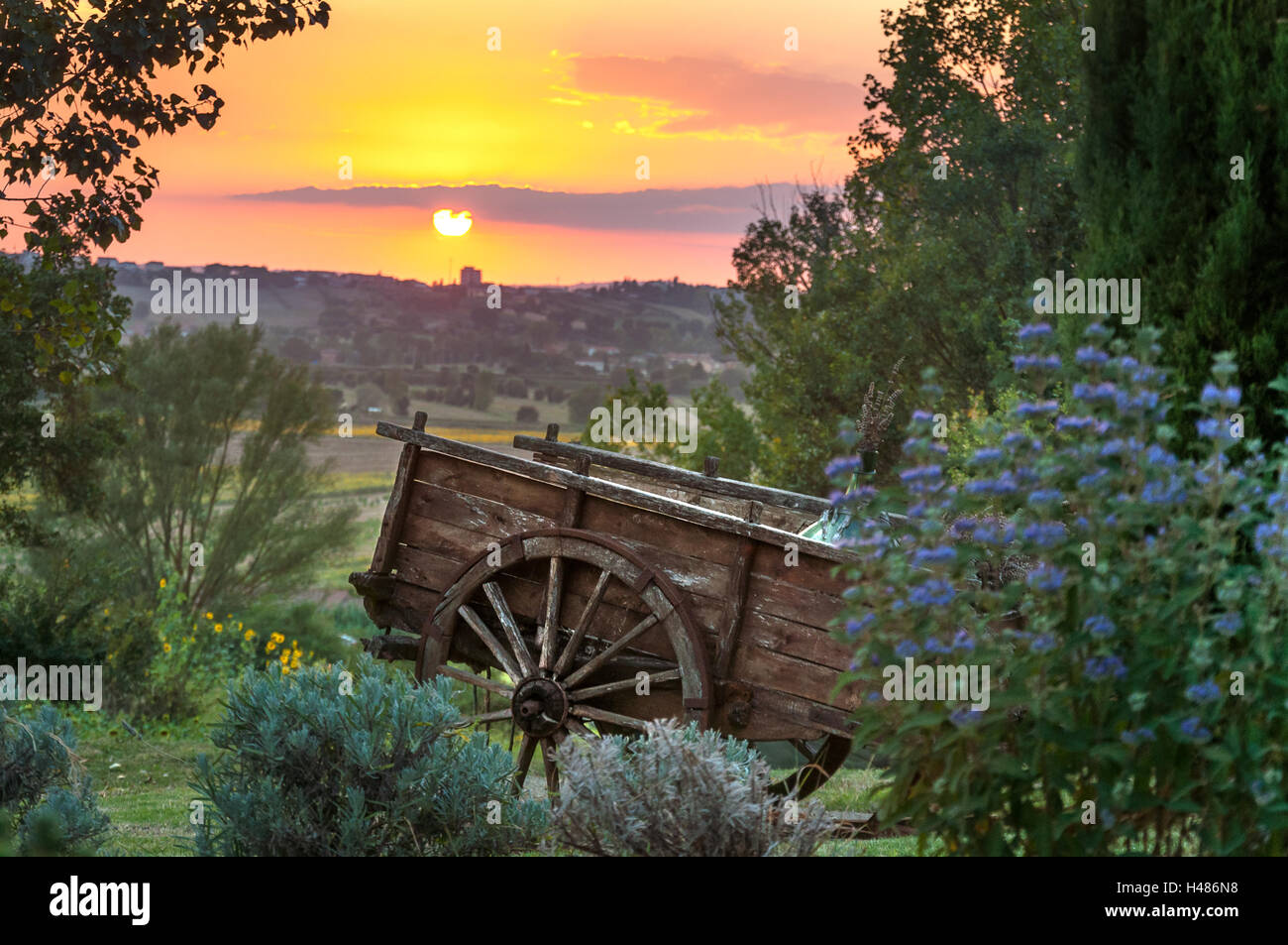 Giardino con fiori e decorativi in legno vecchio carrello di fieno nella splendida regione toscana al tramonto, Italia Foto Stock