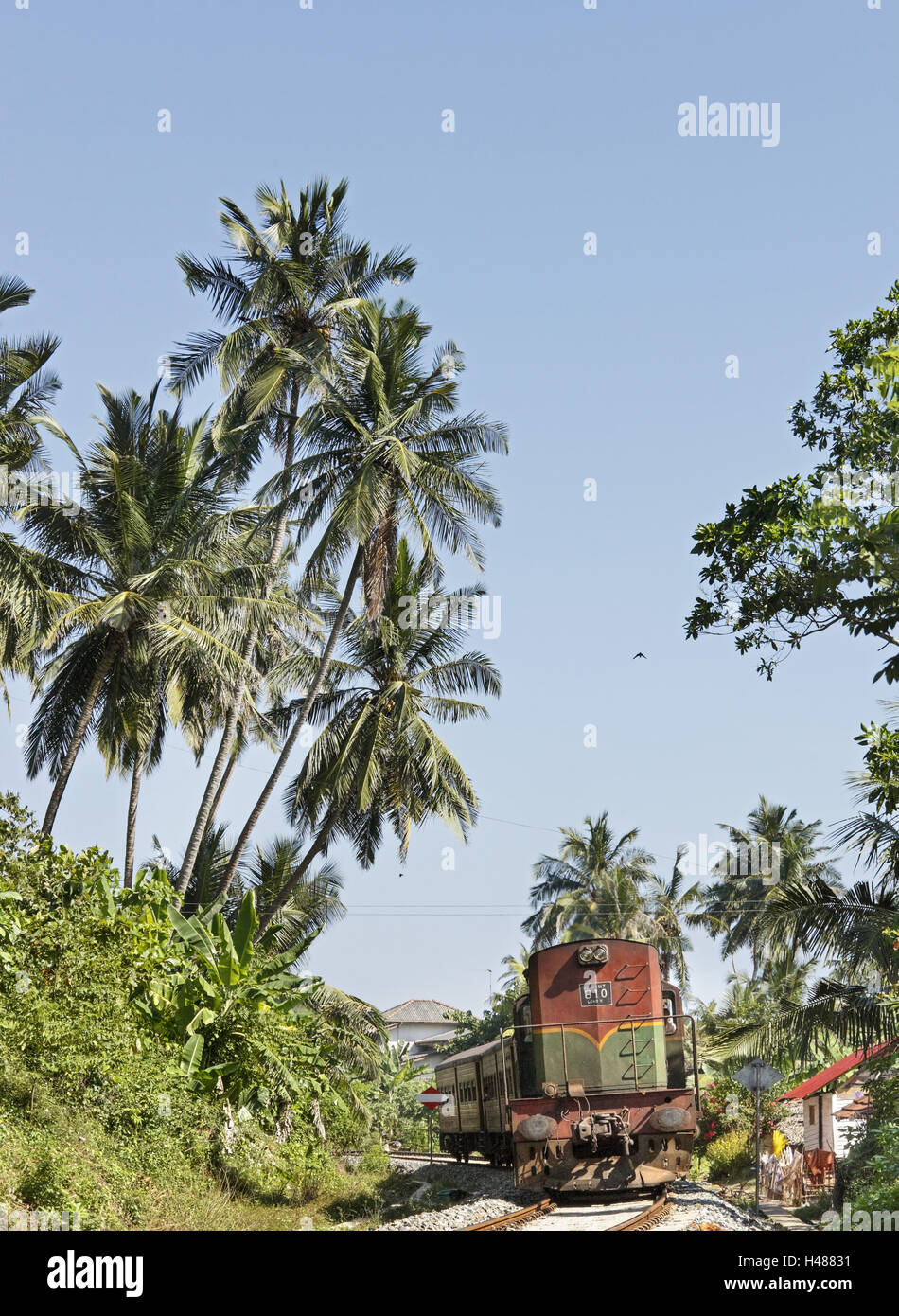 Sri Lanka, Unawatuna, treno, palme, Foto Stock