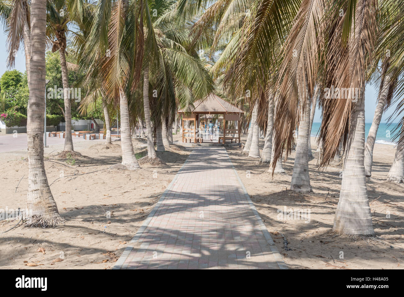 Passaggio pedonale acciottolata tra palme sulla spiaggia Foto Stock