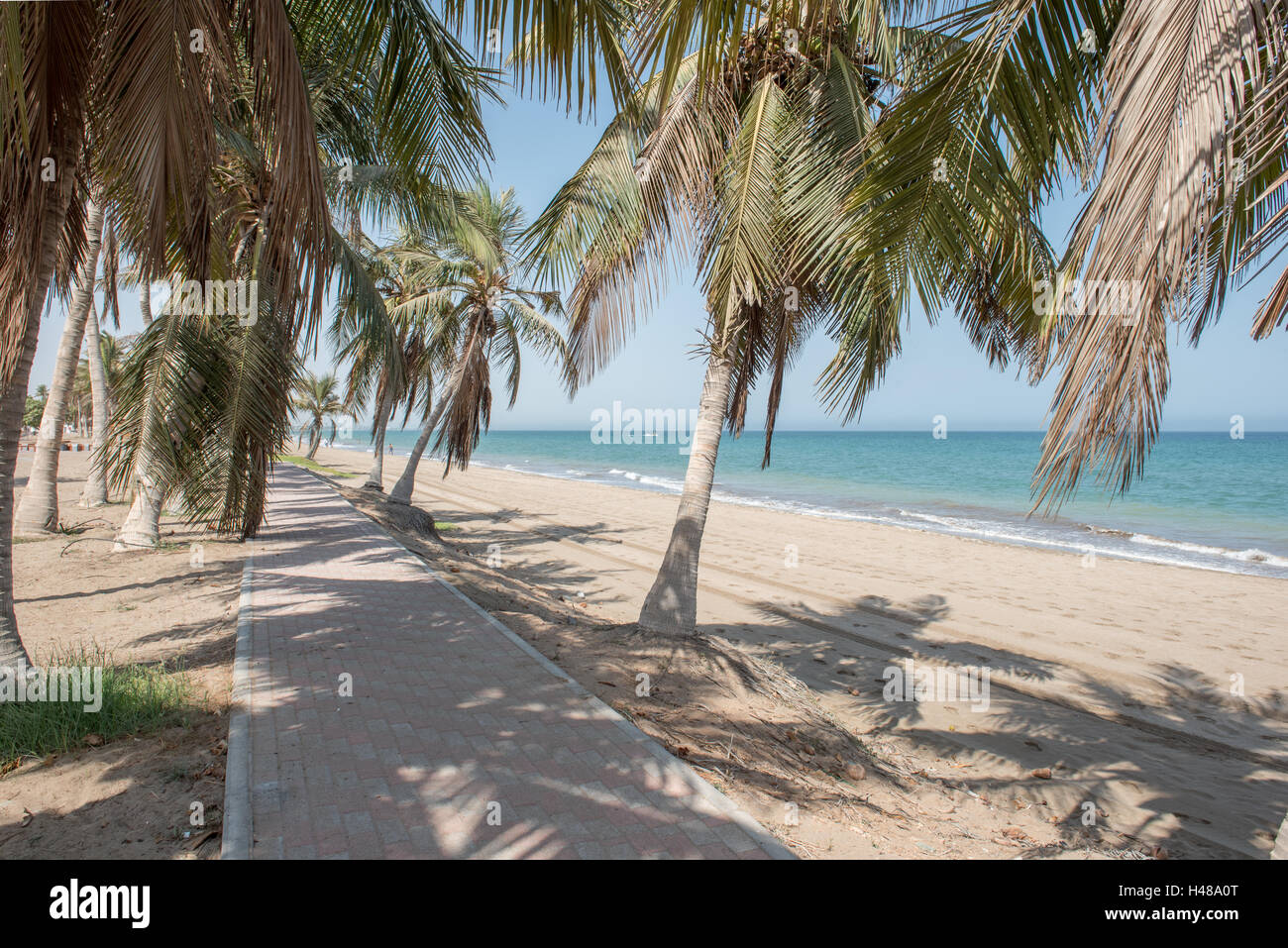 Passaggio pedonale acciottolata tra palme sulla spiaggia Foto Stock