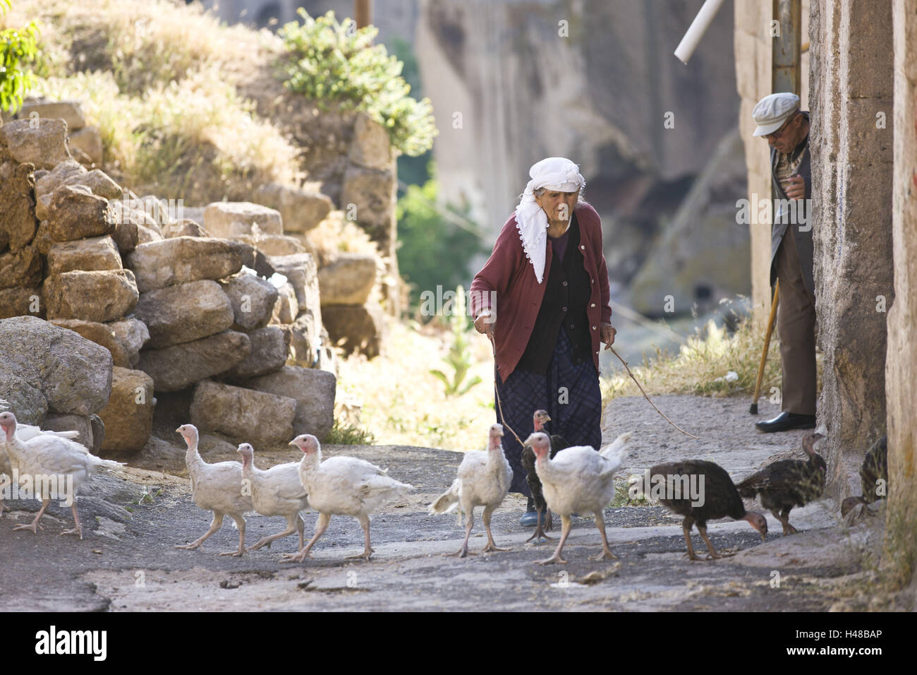 Turchia, Cappadocia, provincia di Aksaray, Güzelyurt, donna non tacchini, Foto Stock