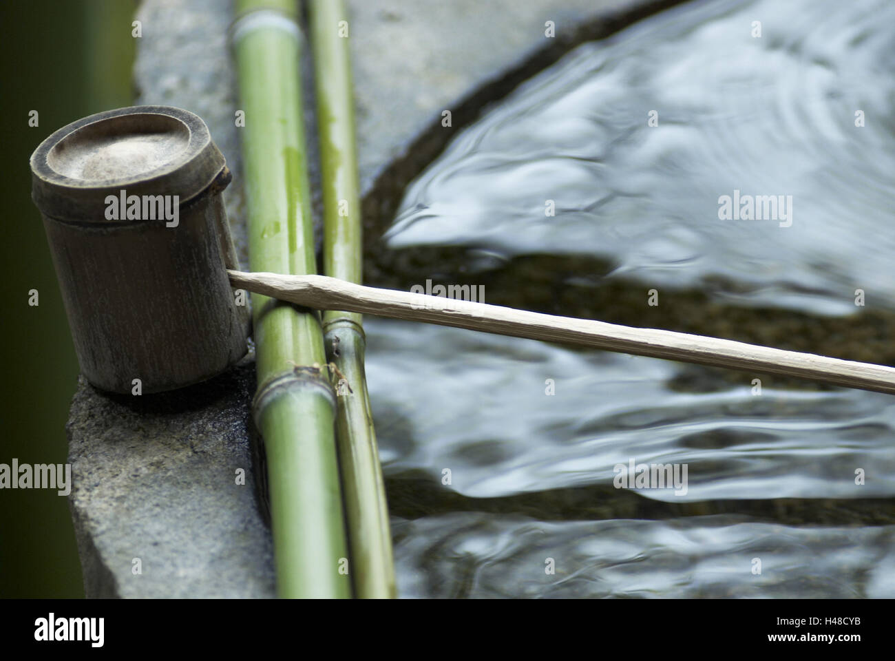 Temizu, abluzione, Temizuya, Schöpfkelle, acqua cembalo, acqua, mestolo, maniglia, bambù, border, mirroring, Giappone, Kyoto, Foto Stock