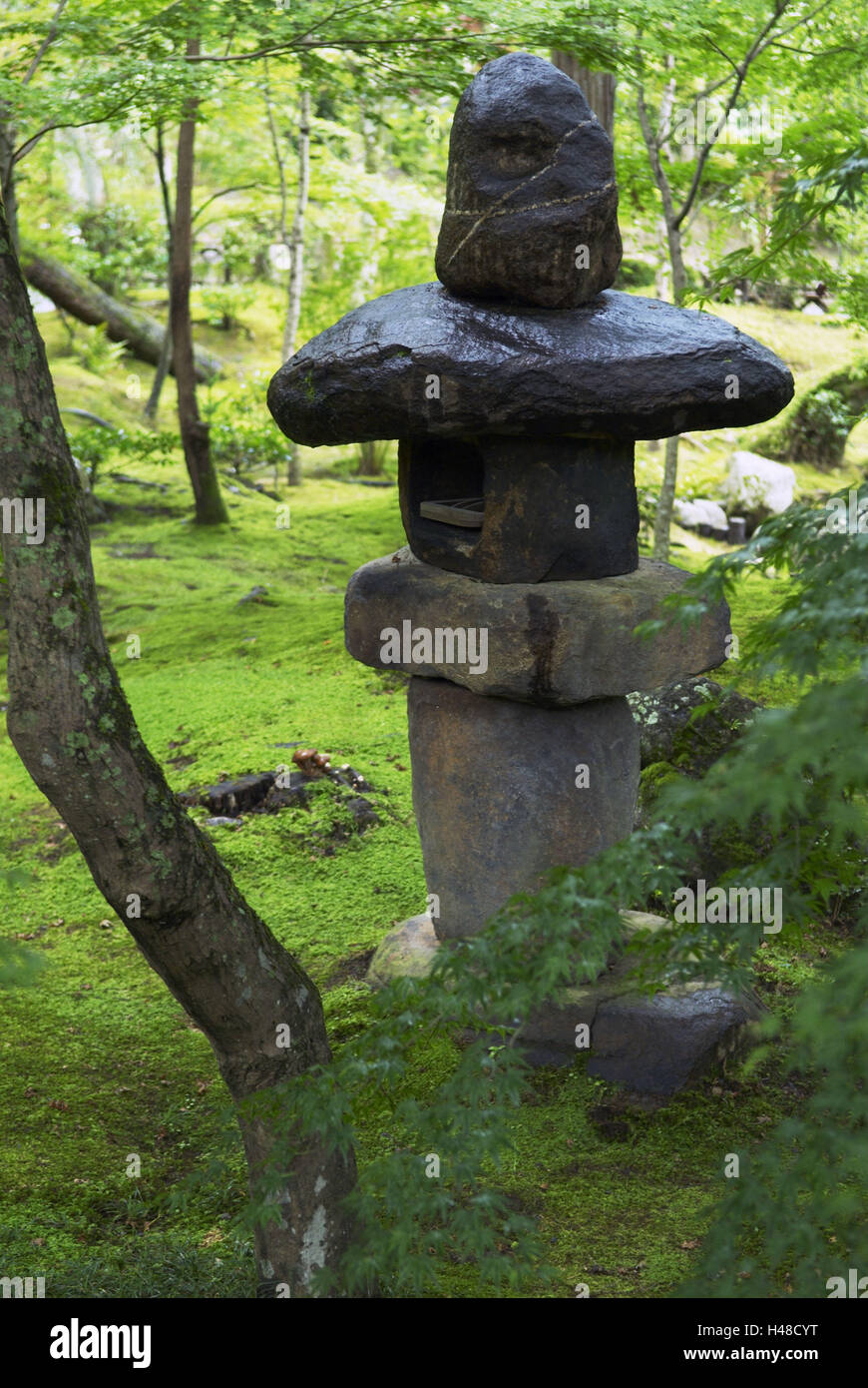 Giardino giapponese lanterna, bile, MOSS, erba, alberi, verde, Giappone, Kyoto, Foto Stock