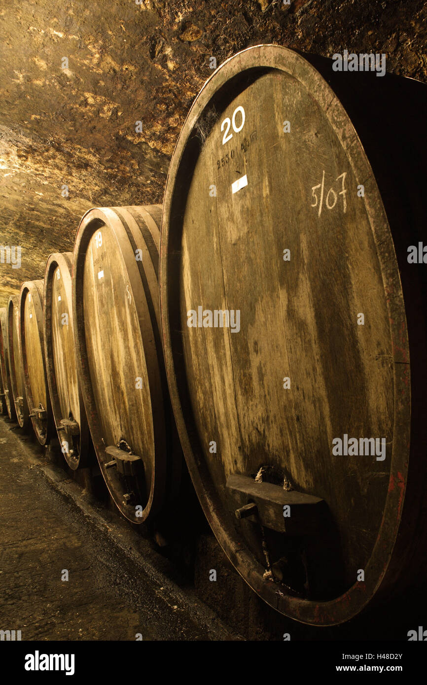 Cantina, botti di vino, Enoteca "Carl Jung', castello Boosen, ruvida home, Hessen, Germania, Foto Stock