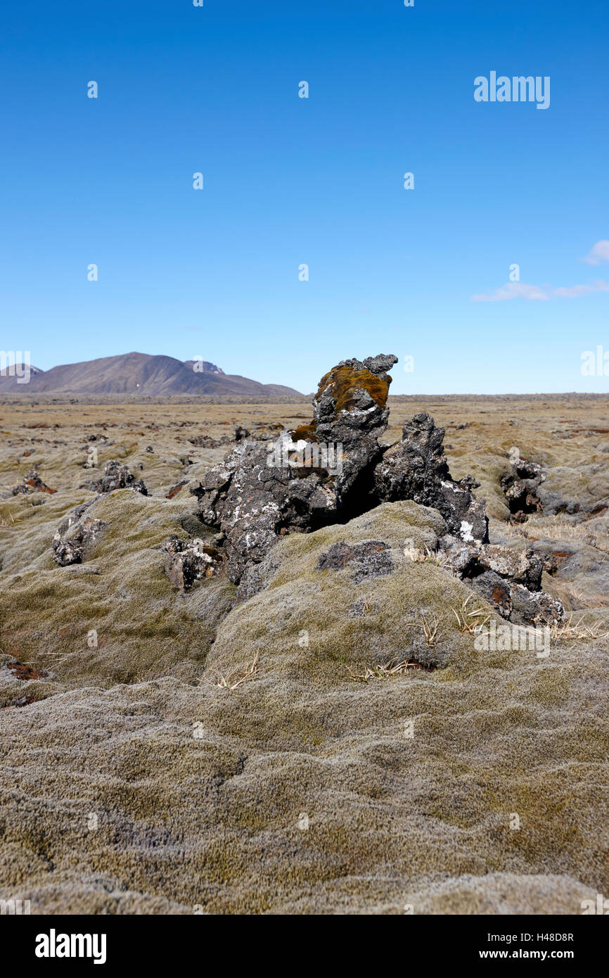 Spesse coperte di muschio lava campo di boulder Islanda Foto Stock