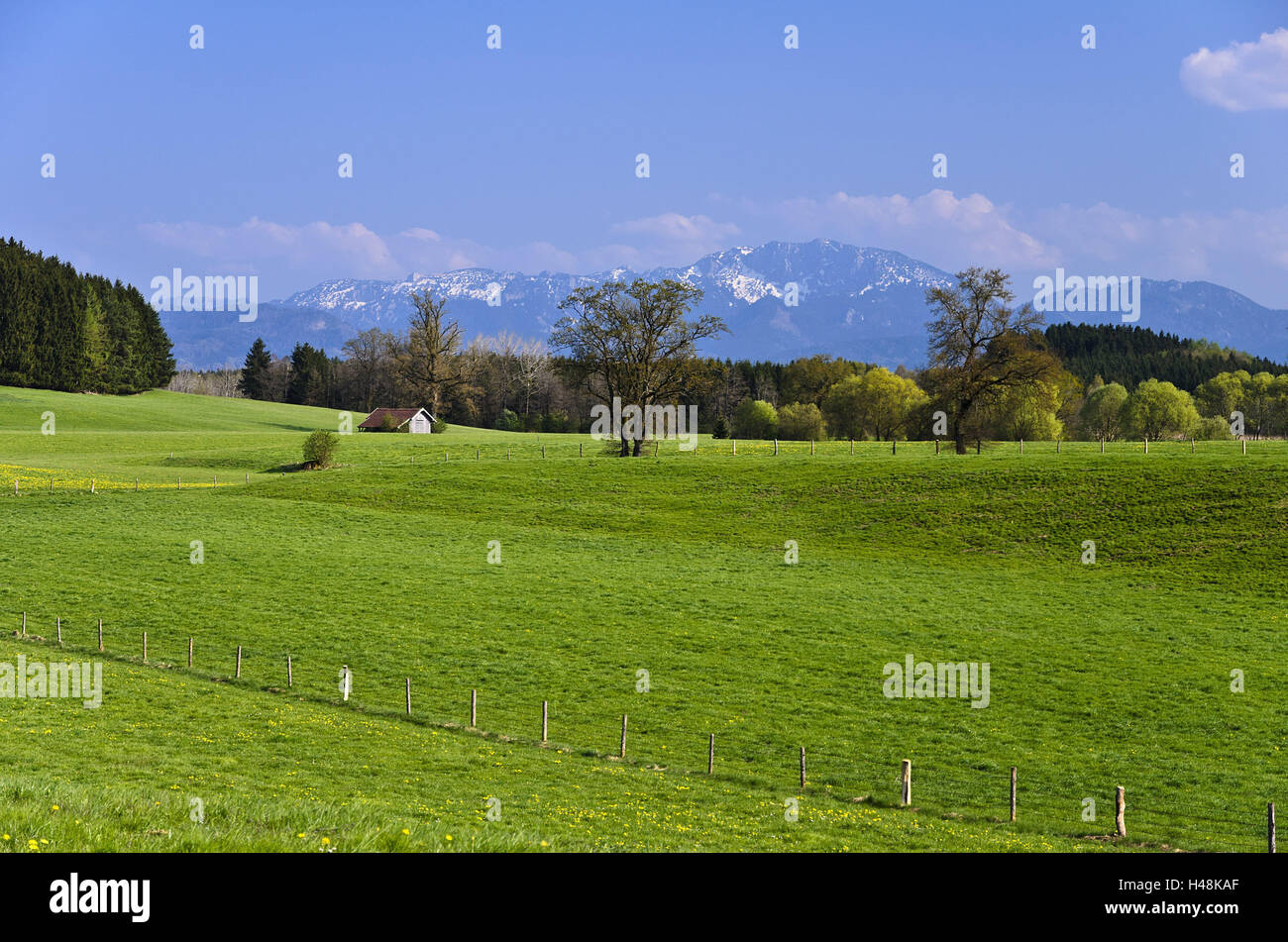 In Germania, in Baviera, Baviera, Pfaffenwinkel (regione), Antdorf, paesaggio, Foresta, Benediktenwand, montagne, alberi, Foto Stock