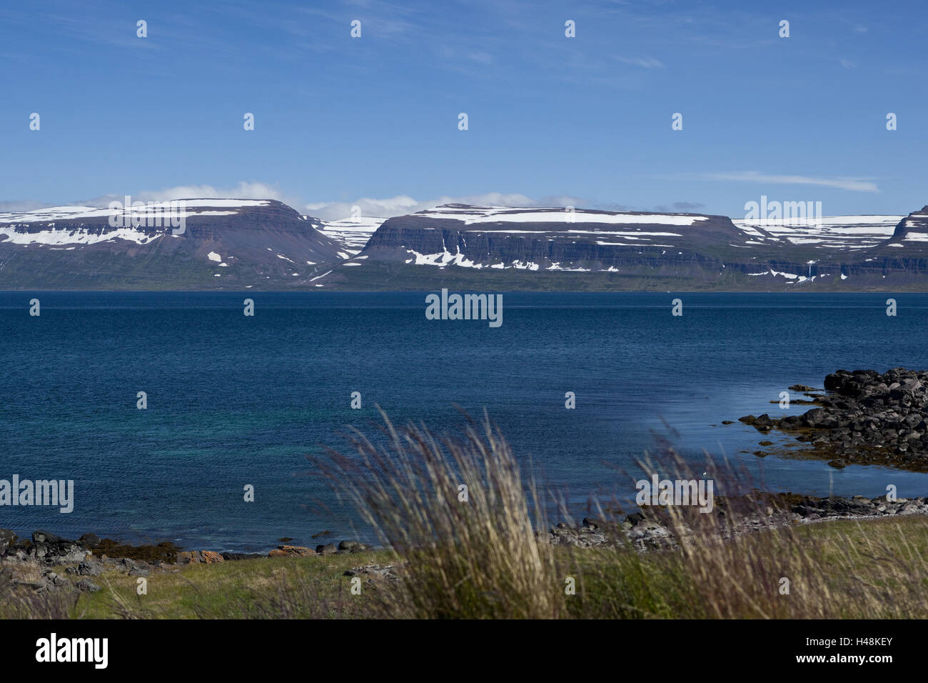 Isola, regione di Vestfirdir, west fiordi, Skötufjordur, Foto Stock