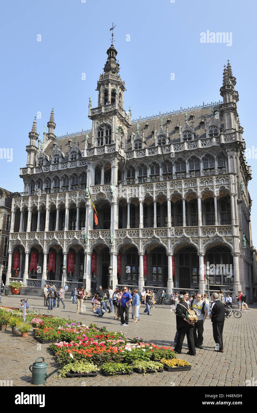 Edifici storici, barocco, Grand-Place, Bruxelles, Belgio, Foto Stock