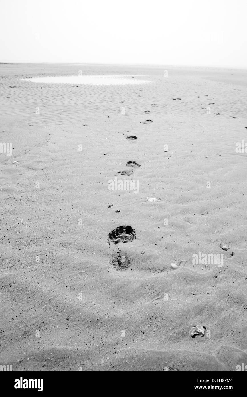 Orme nella sabbia, Foto Stock