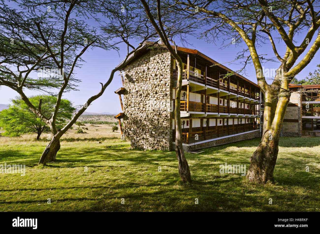 Africa Africa Orientale, Tanzania Serengeti, fauna selvatica, gnus, zebre, Foto Stock