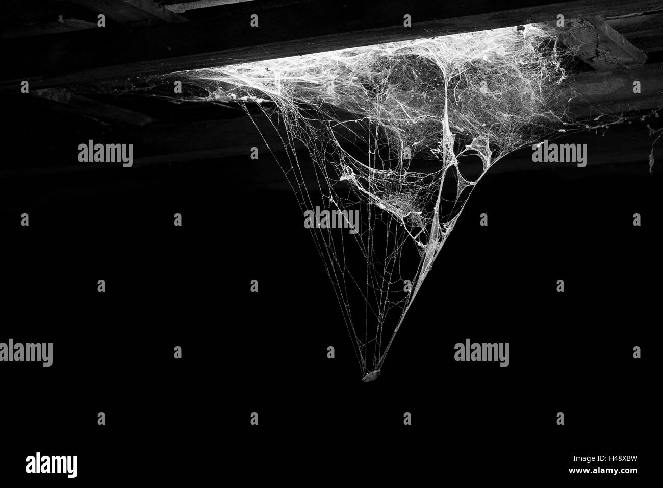 Orrore ragnatela o spider web in antica casa tailandese isolati su sfondo nero Foto Stock