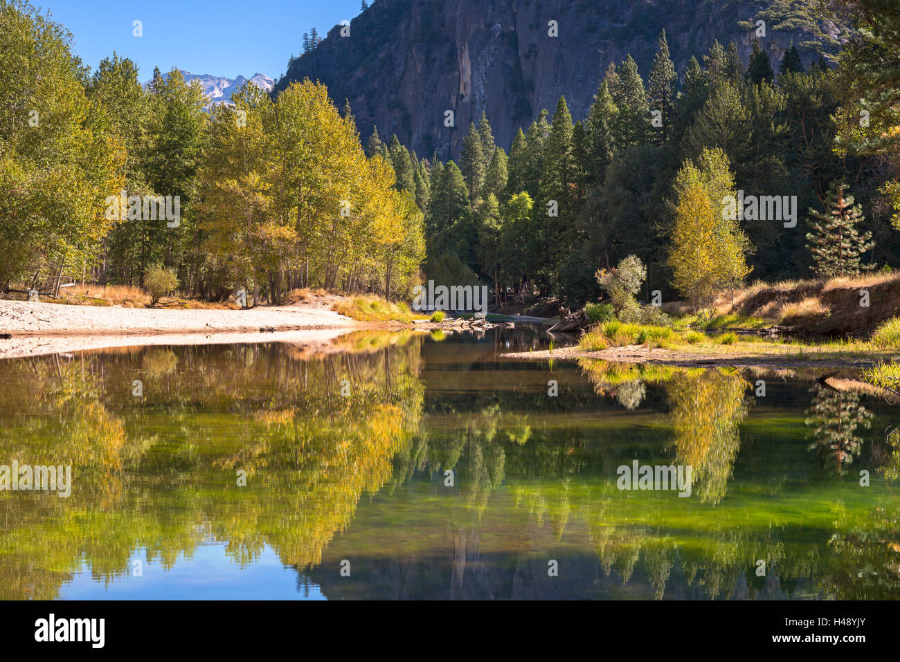 Colori d'autunno alberi affiancano il fiume Merced nella Yosemite Valley, California, Stati Uniti d'America. In autunno (ottobre) 2014. Foto Stock